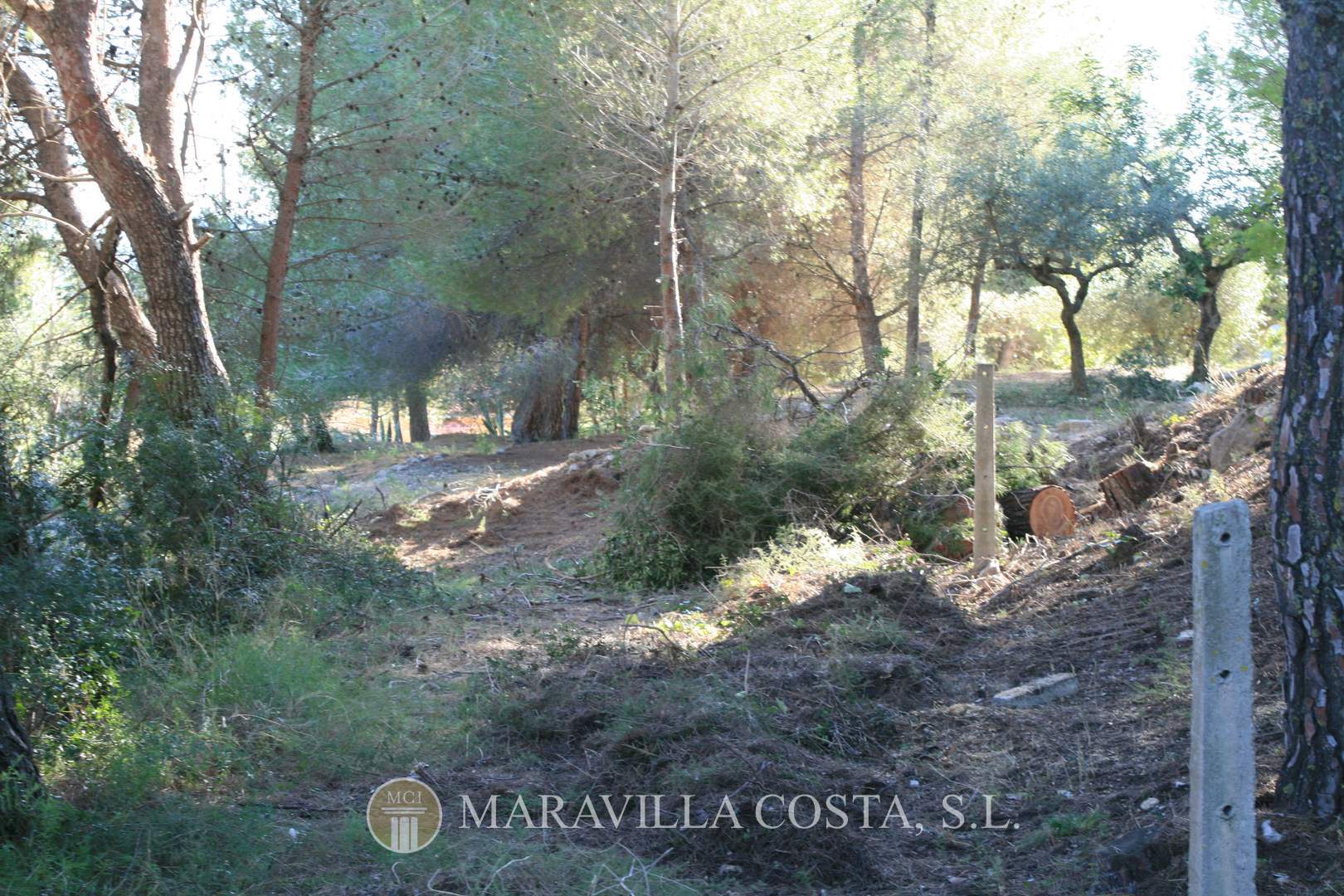 Parcela grande en Benitachell en venta